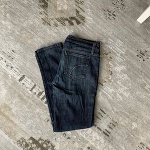 Joe's Provacateur Skinny Jean Janine Wash
